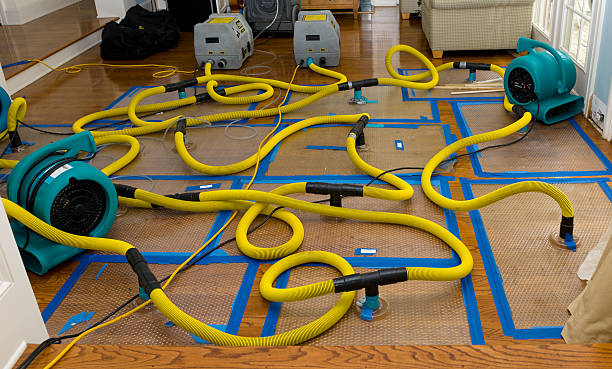 Professional Water Damage Repair technician working in Rosendale, WI